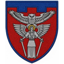 Reconnaissance Company Patch of the 114th Territorial Defense Brigade