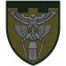 Reconnaissance Company Patch of the 114th Territorial Defense Brigade