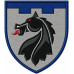 155th Battalion, 117th Separate Brigade Patch of the Territorial Defense Forces of Ukraine 155th Battalion, 117th Separate Brigade Patch of the Territorial Defense Forces of Ukraine