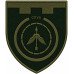 Abzeichen der Flugabwehrbatterie der 117. selbstständigen Brigade der Territorialverteidigungskräfte der Ukraine Abzeichen der Flugabwehrbatterie der 117. selbstständigen Brigade der Territorialverteidigungskräfte der Ukraine