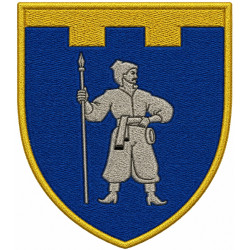 160th Separete Battalion Patch of 118th Separate Brigade of the Territorial Defense Forces of Ukraine