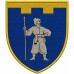 160th Separete Battalion Patch of 118th Separate Brigade of the Territorial Defense Forces of Ukraine 160th Separete Battalion Patch of 118th Separate Brigade of the Territorial Defense Forces of Ukraine