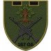 Abzeichen des 167. Bataillons der 119. Selbstständigen Brigade der Territorialverteidigungskräfte der Ukraine