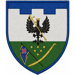 166th Battalion Patch of 119th Separate Brigade of the Territorial Defense Forces of Ukraine