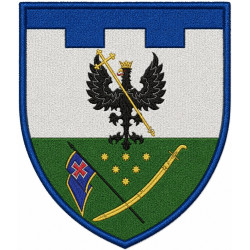 166th Battalion Patch of 119th Separate Brigade of the Territorial Defense Forces of Ukraine