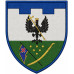 166th Battalion Patch of 119th Separate Brigade of the Territorial Defense Forces of Ukraine 166th Battalion Patch of 119th Separate Brigade of the Territorial Defense Forces of Ukraine