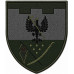 166th Battalion Patch of 119th Separate Brigade of the Territorial Defense Forces of Ukraine 166th Battalion Patch of 119th Separate Brigade of the Territorial Defense Forces of Ukraine