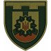 174th Separete Battalion Patch of 121st Separate Brigade of the Territorial Defense Forces of Ukraine 174th Separete Battalion Patch of 121st Separate Brigade of the Territorial Defense Forces of Ukraine