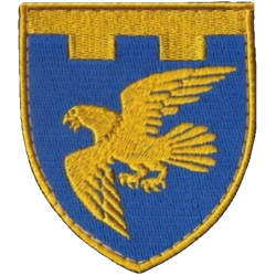 Abzeichen des 187. Bataillons der 123. Selbstständigen Brigade der Territorialverteidigungskräfte der Ukraine Abzeichen des 187. Bataillons der 123. Selbstständigen Brigade der Territorialverteidigungskräfte der Ukraine