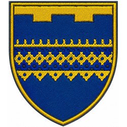 Abzeichen des 189. Bataillons der 123. Selbstständigen Brigade der Territorialverteidigungskräfte der Ukraine #2