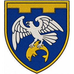Abzeichen des 255. Bataillons der 123. Selbstständigen Brigade der Territorialverteidigungskräfte der Ukraine #2