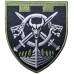 128th Battalion Patch of the Territorial Defense Forces