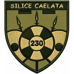 230th Battalion, 128th Separate Brigade Patch of the Territorial Defense Forces of Ukraine