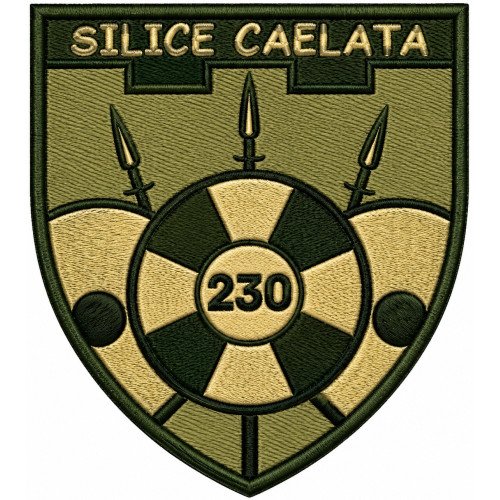 230th Battalion, 128th Separate Brigade Patch of the Territorial Defense Forces of Ukraine