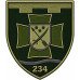 234th Battalion, 128th Separate Brigade Patch of the Territorial Defense Forces of Ukraine