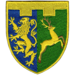 202nd Separate Battalion Patch of the 103rd Separate Brigade of the Territorial Defense Forces