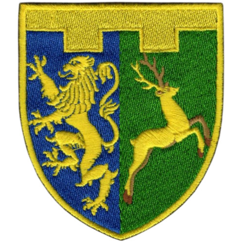 202nd Separate Battalion Patch of the 103rd Separate Brigade of the Territorial Defense Forces