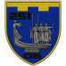 251st Battalion, 241st Separate Brigade Patch of the Territorial Defense Forces of Ukraine