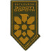 3rd Battalion, 241st Separate Brigade Patch of the Territorial Defense Forces of Ukraine