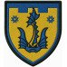 Abzeichen des 111. Bataillons der 260. Selbstständigen Brigade der Territorialverteidigungskräfte der Ukraine Abzeichen des 111. Bataillons der 260. Selbstständigen Brigade der Territorialverteidigungskräfte der Ukraine
