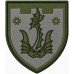 Abzeichen des 111. Bataillons der 260. Selbstständigen Brigade der Territorialverteidigungskräfte der Ukraine Abzeichen des 111. Bataillons der 260. Selbstständigen Brigade der Territorialverteidigungskräfte der Ukraine