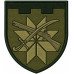 Abzeichen des 112. Bataillons der 260. Selbstständigen Brigade der Territorialverteidigungskräfte der Ukraine