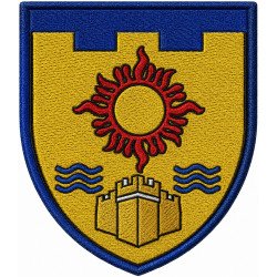 Abzeichen des 113. Bataillons der 260. Selbstständigen Brigade der Territorialverteidigungskräfte der Ukraine