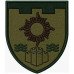 Abzeichen des 113. Bataillons der 260. Selbstständigen Brigade der Territorialverteidigungskräfte der Ukraine