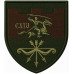 Abzeichen des 114. Bataillons der 260. Selbstständigen Brigade der Territorialverteidigungskräfte der Ukraine