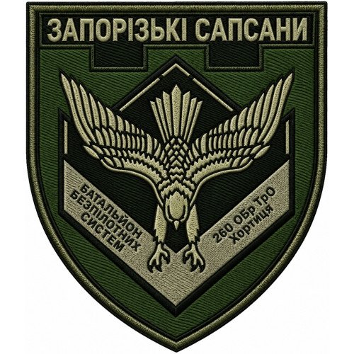 1st Unmanned Systems Battalion of the 260th Separate Brigade of the Territorial Defense Forces of Ukraine 1st Unmanned Systems Battalion of the 260th Separate Brigade of the Territorial Defense Forces of Ukraine