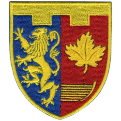 66th Separate Battalion Patch of the Territorial Defense Forces