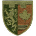 Abzeichen des 66. selbstständigen Bataillons der Territorialverteidigungskräfte der Ukraine