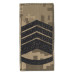 Chief Master Sergeant Breast Rank Insignia of the Armed Forces of Ukraine OR-9